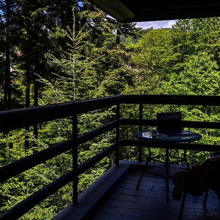 Hotel Smart Sinaia Exterior photo