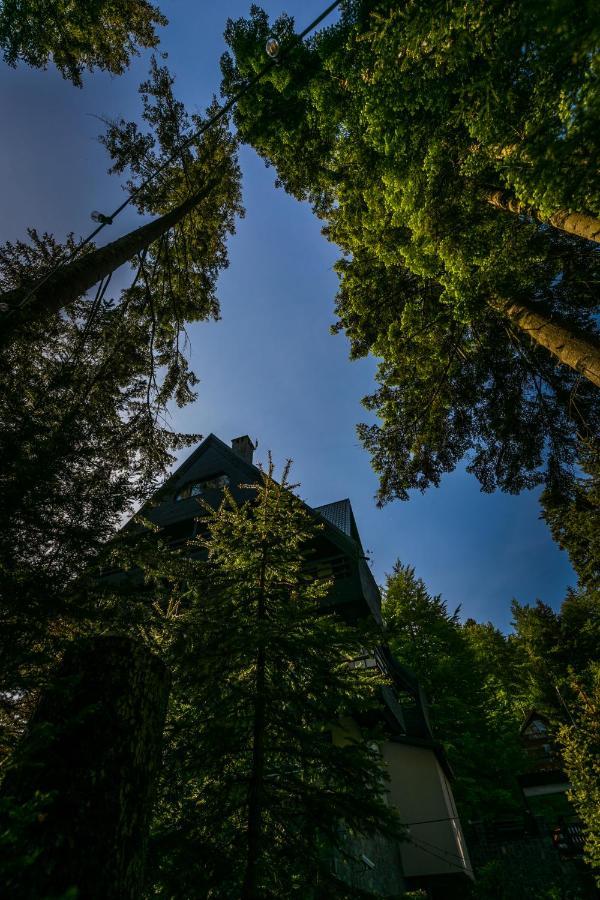 Hotel Smart Sinaia Exterior photo